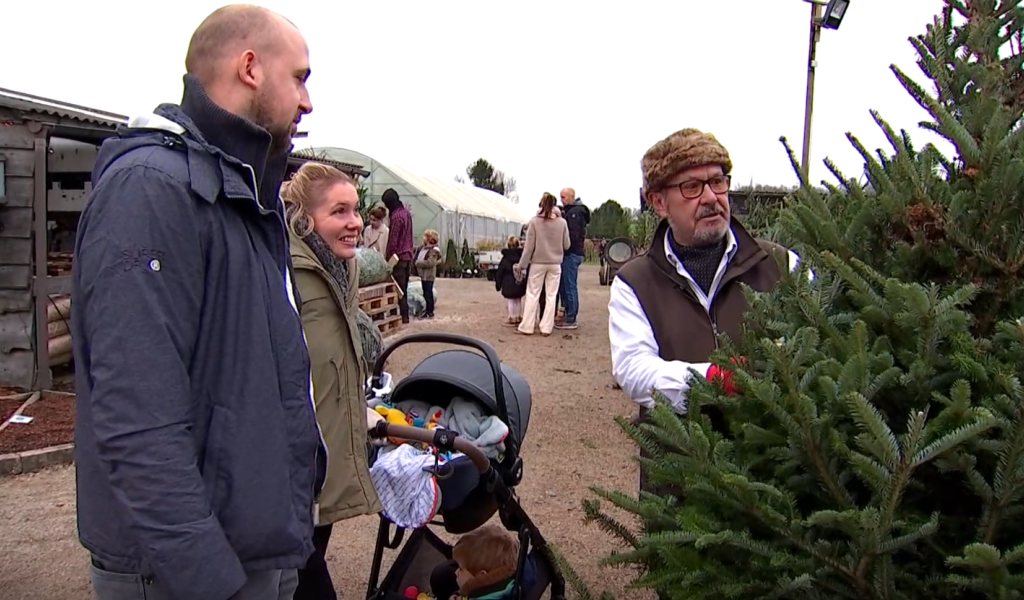 Neufmaison : les familles choisissent leur sapin de Noël !