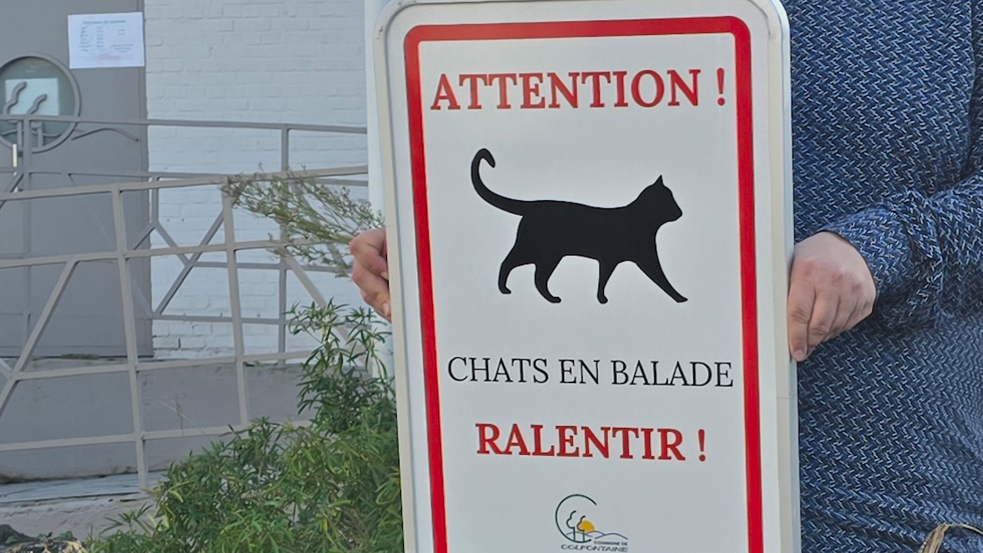 "Attention ! Chats en balade", une nouvelle campagne de sécurité routière à Colfontaine