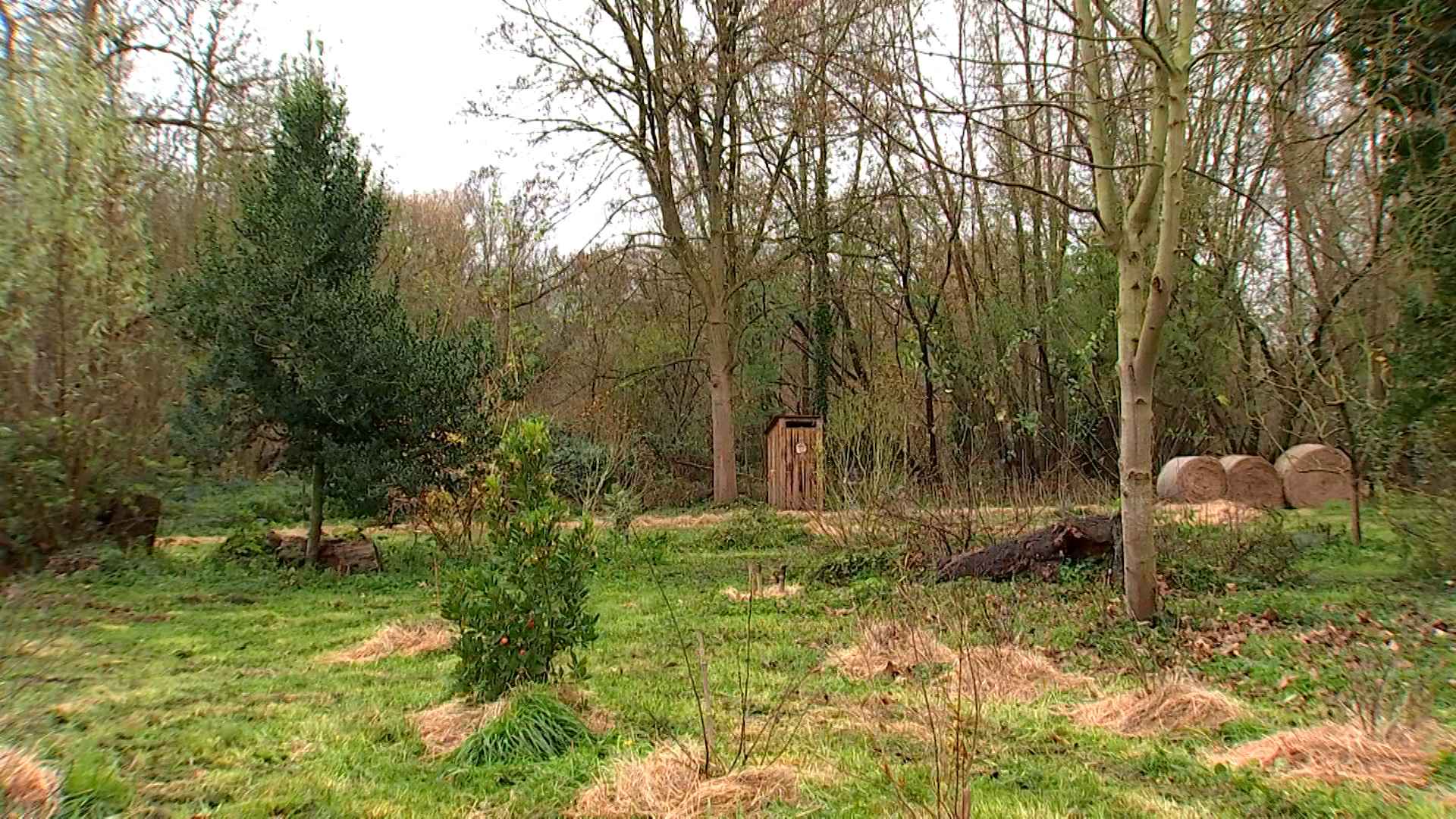 Le jardin improbable : un hectare de terre d'apprentissage et d'échange en ville